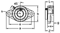 Accu-Loc® Concentric Collar Locking Two-Bolt Flange Unit, UEFLX00 Series-2