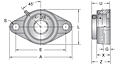 Accu-Loc® Concentric Collar Locking Two-Bolt Flange Unit, UEMFL200MZ20 Series-2